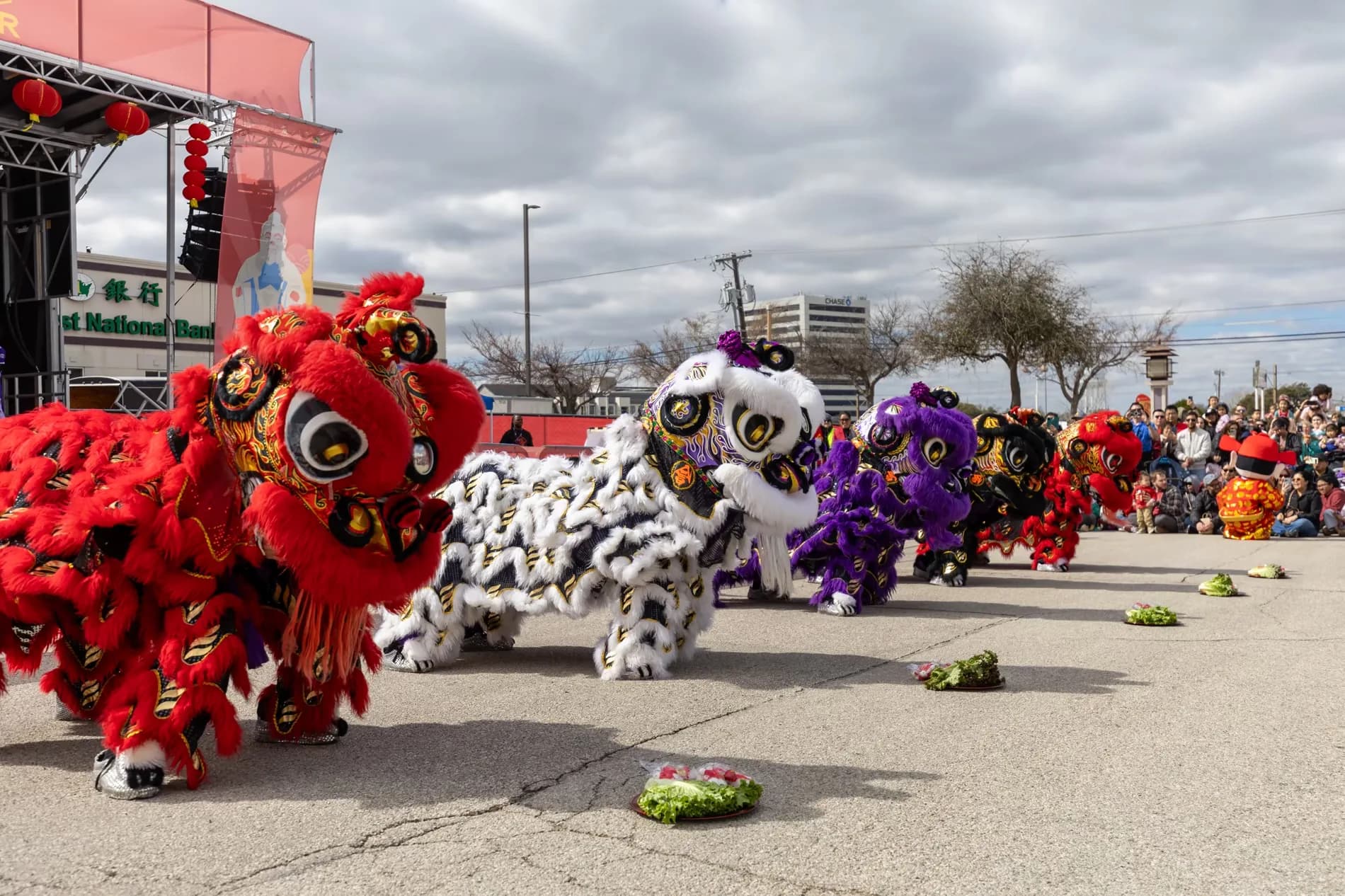 Lunar new year festival crowd Dallas event